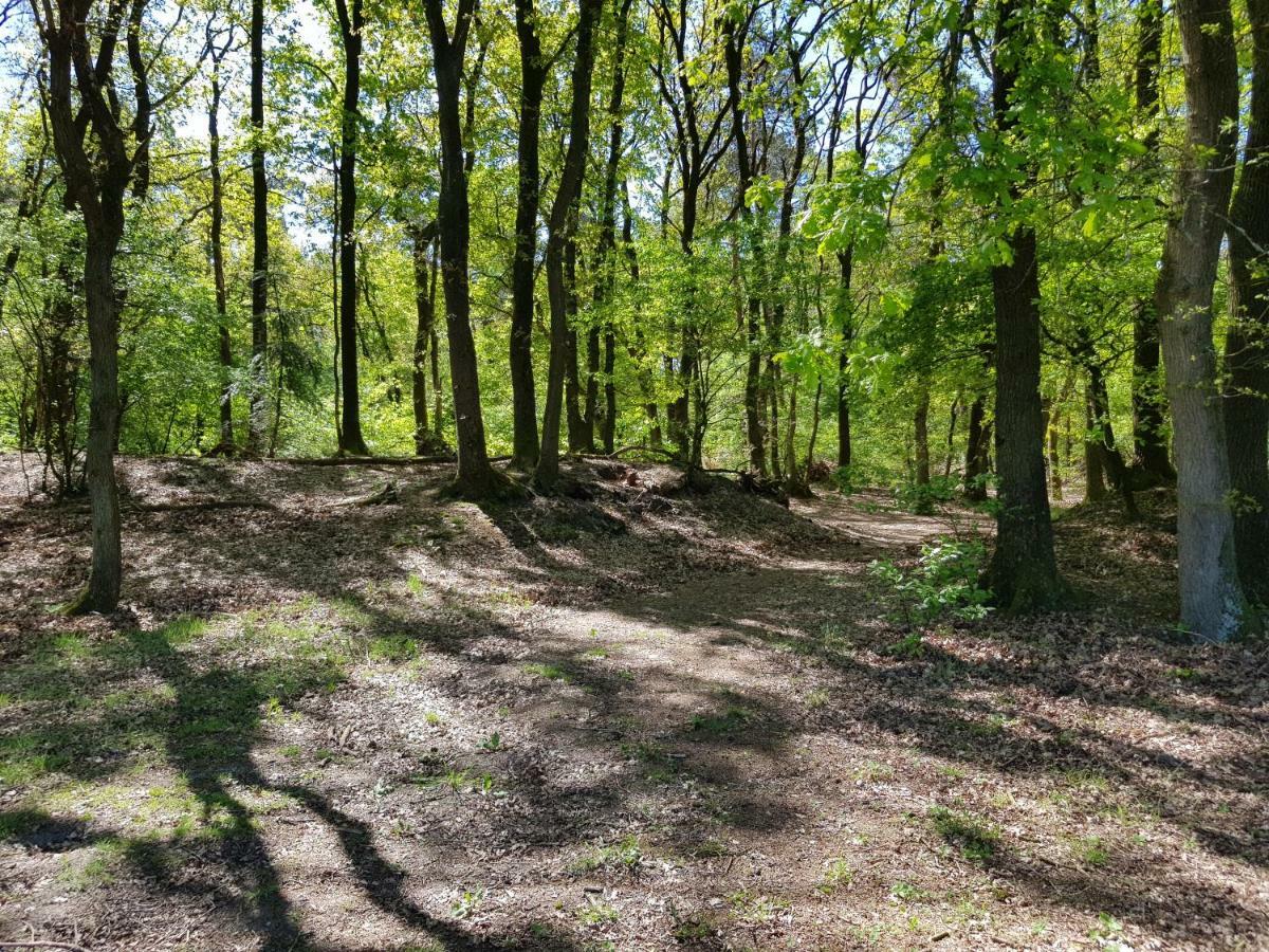 Knusse 5 Persoons Bungalow Hartje Veluwe 오털로 외부 사진